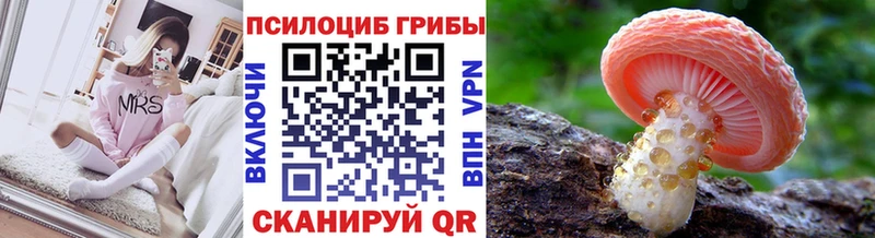 Галлюциногенные грибы Cubensis  Боготол 