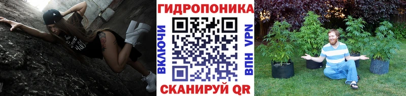 ссылка на мегу маркетплейс Боготол Каннабис сатива